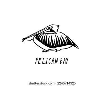 Vector card with hand drawn funny pelican resting peacefully. Ink drawing, decorative graphic style. Beautiful animal design elements, perfect for logo design