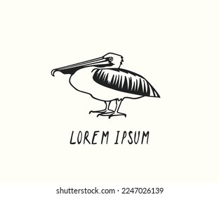Vector card with hand drawn funny pelican resting peacefully. Ink drawing, decorative graphic style. Beautiful animal design elements, perfect for logo design