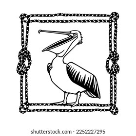 Vector card with hand drawn funny pelican in nautical rope frame. Ink drawing, decorative graphic style. Beautiful animal design elements, perfect for logo design