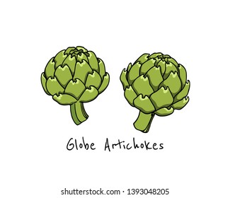 Vector card with hand drawn globe artichokes. Beautiful food design elements, ink drawing