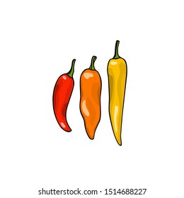 Vector card with hand drawn golden peppers. Ink drawing, graphic style, beautiful design elements