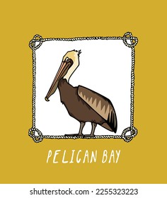 Vector card with hand drawn gorgeous Brown pelican in nautical rope frame. Ink drawing, decorative graphic style. Beautiful animal design elements, perfect for logo design