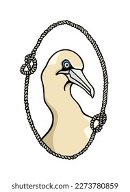 Vector card with hand drawn gorgeous Gannet in nautical rope frame. Beautiful wild animal illustration, ink drawing, graphic style. Logo template