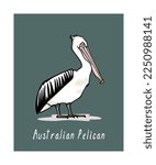 Vector card with hand drawn graceful Australian pelican. Ink drawing, decorative graphic style. Beautiful animal design elements, perfect for logo design