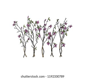 Vector card with hand drawn graceful flowers. Beautiful floral design elements, ink drawing