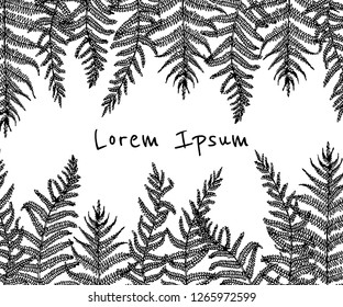 Vector card with hand drawn graceful fern leaves. Ink drawing, beautiful floral design elements.
