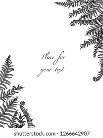 Vector card with hand drawn graceful fern leaves. Ink drawing, beautiful floral design elements.