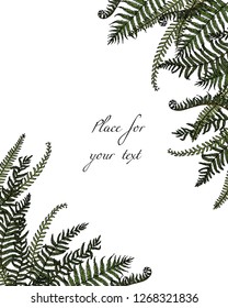 Vector card with hand drawn graceful fern leaves. Ink drawing, beautiful floral design elements.