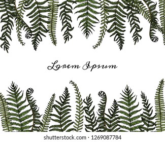 Vector card with hand drawn graceful fern leaves. Ink drawing, beautiful floral design elements.