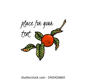 Vector card with hand drawn graceful persimmon branch with ripe orange fruit. Beautiful ink drawing, graphic style. Food and nature design elements.