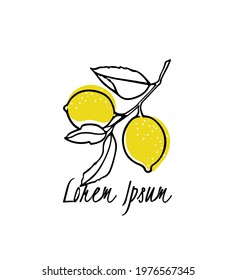 Vector Card With Hand Drawn Graceful Lemon Branch With Fruit. Beautiful Ink Drawing, Graphic Style. Food And Nature Design Elements.