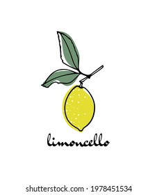 Vector card with hand drawn graceful lemon branch with a fruit. Beautiful ink drawing, graphic style. Advertising and packaging design elements