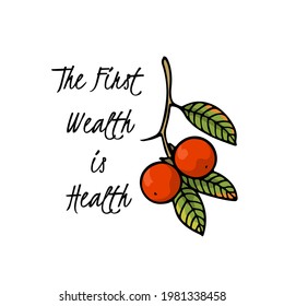 Tarjeta vectorial con ramificación de persimón de mano con fruta naranja madura. Hermoso dibujo de tinta, estilo gráfico. Elementos de diseño de la comida y la naturaleza.