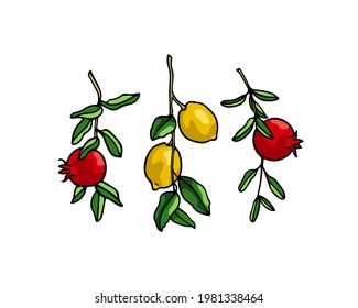 Vector card with hand drawn graceful pomegranate and lemon branches with ripe fruit. Beautiful ink drawing, graphic style. Food and nature design elements.