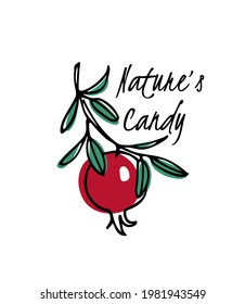 Vector card with hand drawn graceful pomegranate branch with ripe red fruit. Beautiful ink drawing, graphic style. Food and nature design elements.
