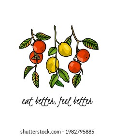 Tarjeta vectorial con ramas de persimón grácil dibujadas a mano y de limón con fruta madura. Hermoso dibujo de tinta, estilo gráfico. Elementos de diseño de la comida y la naturaleza.