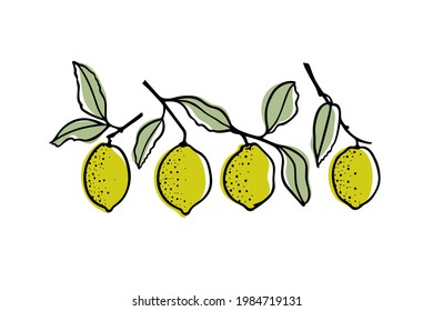 Vector card with hand drawn graceful lemon branches with ripe fruit. Beautiful ink drawing, graphic style. Advertising and packaging design elements