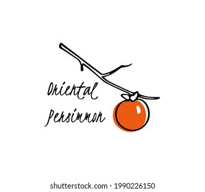 Vector card with hand drawn graceful persimmon branch with ripe orange fruit. Beautiful ink drawing, graphic style. Food and nature design elements.