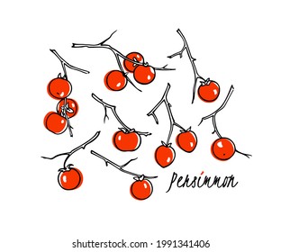 Vector card with hand drawn graceful persimmon branches with ripe orange fruit. Beautiful ink drawing, graphic style. Food and nature design elements.