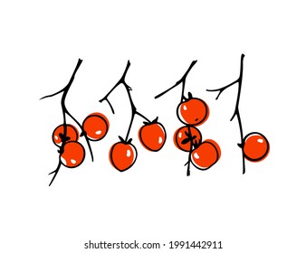 Vector card with hand drawn graceful persimmon branches with ripe orange fruit. Beautiful ink drawing, graphic style. Food and nature design elements.