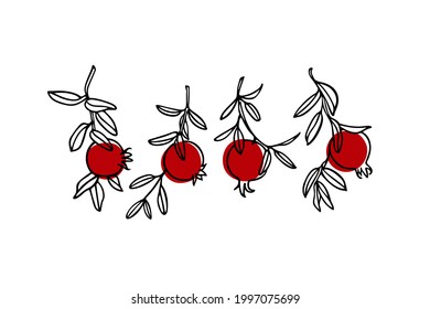 Vector card with hand drawn graceful pomegranate branches with ripe red fruit. Beautiful ink drawing, graphic style. Food and nature design elements.