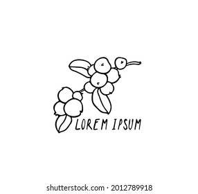 Vector card with hand drawn graceful snowberry branch with ripe fruit. Beautiful ink drawing, graphic style. Botanical design elements.