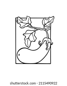 Vector card with hand drawn graceful eggplant in frame. Ink drawing, graphic style. Beautiful healthy food design elements