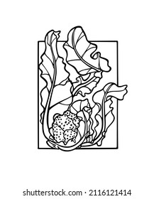 Vector card with hand drawn graceful cauliflower plant with leaves in frame. Ink drawing, graphic style. Beautiful healthy or vegetarian food design elements
