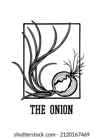 Vector card with hand drawn graceful onion in frame. Ink drawing, graphic style. Beautiful healthy food design elements