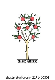 Vector card with hand drawn graceful tree with heavy fruit branches. Ink drawing, decorated medieval style. Beautiful gardening or floral design elements