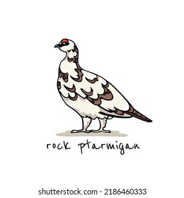 Vector card with hand drawn graceful motley rock ptarmigan. Ink drawing, decorative graphic style. Beautiful animal design elements, northern destinations travel poster 