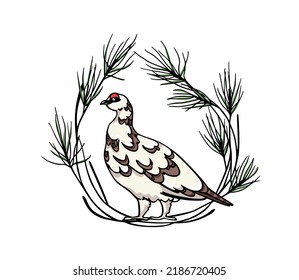 Vector card with hand drawn graceful motley rock ptarmigan in floral pine wreath. Ink drawing, decorative graphic style. Beautiful animal design elements, northern destinations travel poster 