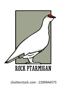 Vector card with hand drawn graceful snowy white rock ptarmigan in austere frame. Ink drawing, decorative graphic style. Beautiful animal design elements,  travel poster 
