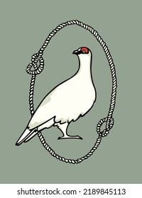 Vector card with hand drawn graceful snowy white rock ptarmigan in nautical rope frame. Ink drawing, decorative graphic style. Beautiful animal design elements,  travel poster 