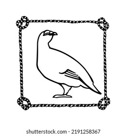 Vector card with hand drawn graceful snowy white rock ptarmigan in nautical rope frame. Ink drawing, decorative graphic style. Beautiful animal design elements,  travel poster 