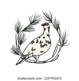 Vector card with hand drawn graceful motley rock ptarmigan in floral pine wreath. Ink drawing, decorative graphic style. Beautiful animal design elements, northern destinations travel poster