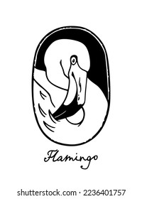 Tarjeta vectorial con flamingo graceful dibujado a mano en un marco de elipse austera. Hermosa ilustración de animales salvajes, dibujo de tinta, estilo gráfico. Plantilla de logotipo