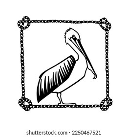 Vector card with hand drawn graceful pelican in nautical rope frame. Ink drawing, decorative graphic style. Beautiful animal design elements, perfect for logo design