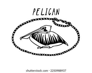 Vector card with hand drawn graceful pelican in nautical rope frame. Ink drawing, decorative graphic style. Beautiful animal design elements, perfect for logo design