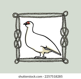 Vector card with hand drawn graceful snowy white rock ptarmigan in nautical rope frame. Ink drawing, decorative graphic style. Beautiful animal design elements, travel poster 
