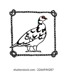 Tarjeta vectorial con ptarmigan de roca de gasa grácil dibujado a mano en marco de cuerda náutica. Dibujo de tinta, estilo gráfico decorativo. Hermosos elementos de diseño animal, afiche de viajes de destinos del norte 