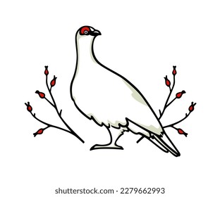 Vector card with hand drawn graceful rock ptarmigan in floral laurel with red berries. Ink drawing, decorative graphic style. Beautiful northern wild nature design elements