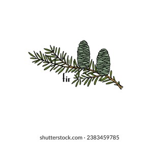 Vector card with hand drawn graceful fir branch with huge cones. Beautiful ink drawing. Perfect for floral or holiday season greetings.