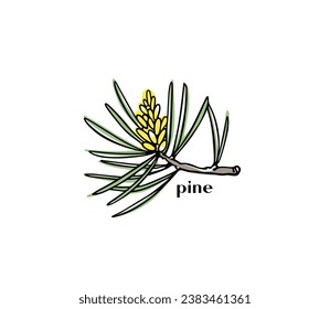 Vector card with hand drawn graceful pine branch with a male cone. Beautiful ink drawing. Perfect for floral or holiday season greetings.