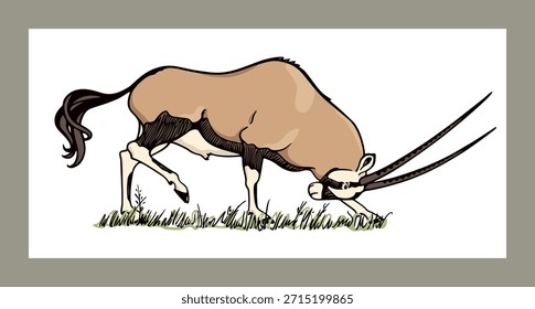 Vektorkarte mit handgezeichneten anmutigen männlichen oryx mit dem Kopf nach unten, zwischen Savanne. Freihandzeichnung, Grafikstil. Schöne wilde Tierdarstellung