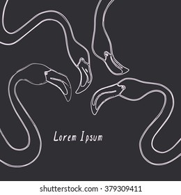 Vector card with hand drawn graceful flamingos heads. Beautiful brush drawing.