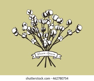 Vector card with hand drawn graceful cotton flowers. Beautiful floral design elements.