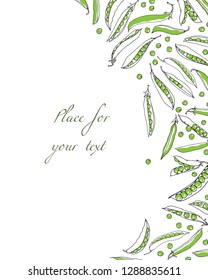 Vector card with hand drawn green pea pods. Beautiful food design elements