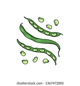 Vector card with hand drawn green bean pods. Beautiful food design elements, ink drawing