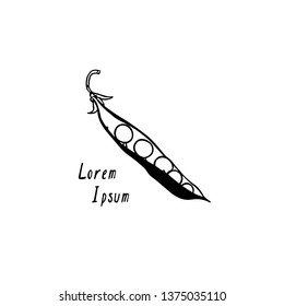 Vector card with hand drawn green pea pod made with pen and ink. Beautiful food design elements